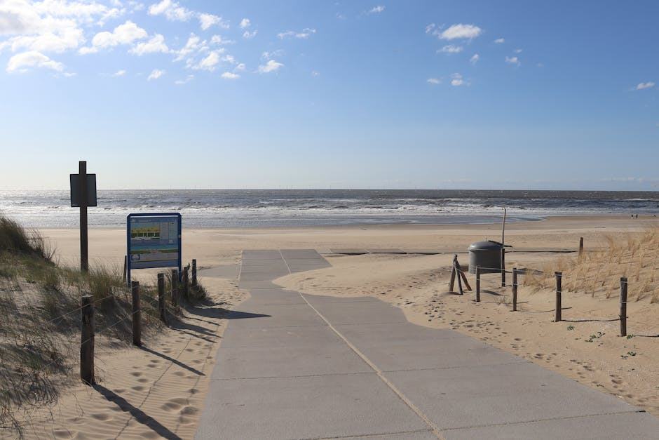 Photographe Brie-Comte-Robert — séance photo enfants et famille