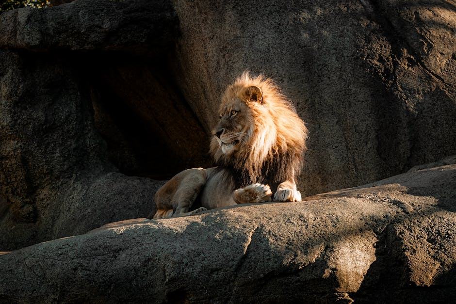 Tirages photo professionnels Paris — impression haut de gamme